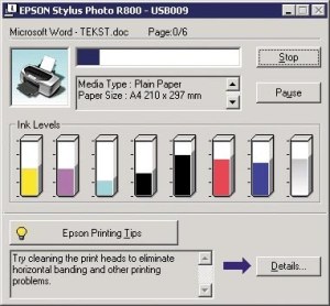 Epson Stylus Photo R800
