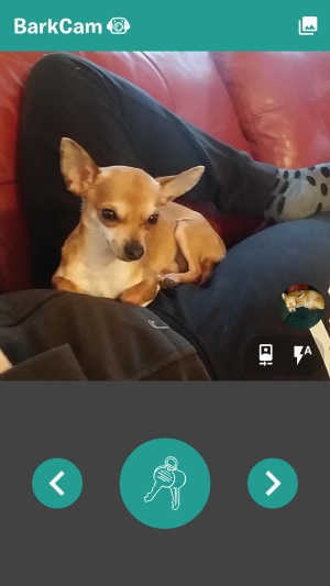 Pasje življenje na Androidu