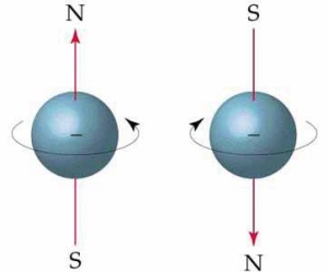 Spin je kvantna lastnost delcev, ki se pozna na magnetnem polju, kakor da bi ga povzročalo vrtenje nabitega delca. V resnici se ne vrti, saj imajo spin tudi nevtralni delci.
