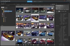 Upravljanje z veliko zbirko fotografij je v PaintShopu učinkovito in pregledno.