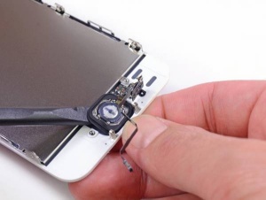 Bralnik prstnih odtisov pod gumbom Home na iPhone 5S.