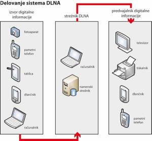 Digitalno omrežno življenje