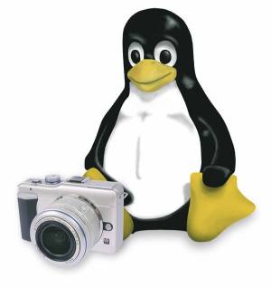 Pingvini in fotografije