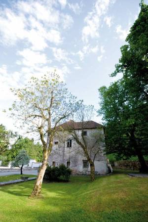 Fotografska latovščina