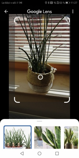 Za Android - Prepoznavanje rastlin