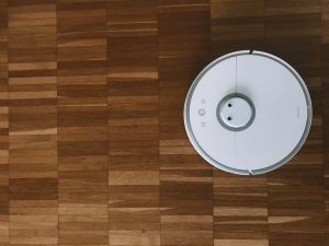 Ko Roomba zasebne fotografije objavi na – Facebooku