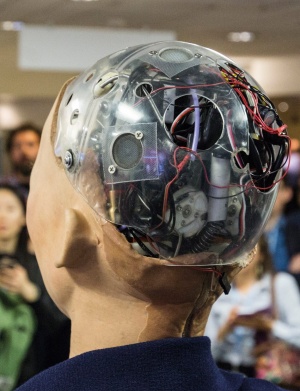 Humanoidni roboti postajajo resničnost