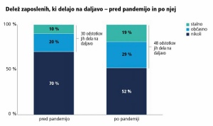 Delo na zaupanje