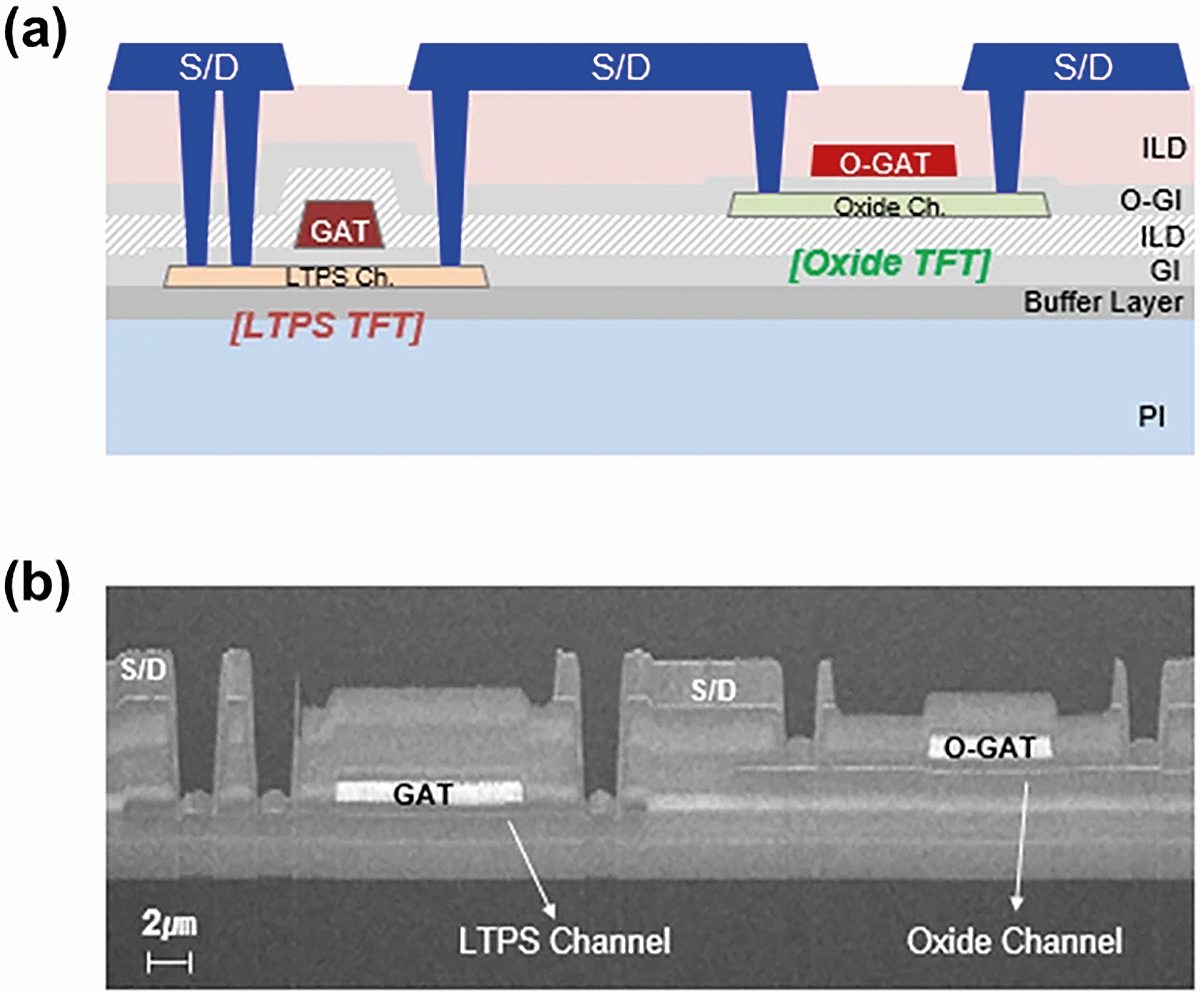 Shema in posnetek strukture LTPO. Jae Sung Kim et al. LTPO-based pixel circuit with highly uniform luminance and low flicker for variable refresh rate in AMOLED displays. Scientific Reports. 2026