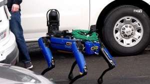 Vedno več posnetkov robotskih psov Newyorške policije