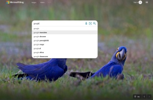 Najbolj iskana beseda v Bing je »Google«