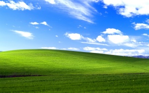 Windows XP po dvajsetih letih ponekod še vedno priljubljen