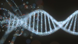 Prihodnost pomnilniških sistemov je DNK
