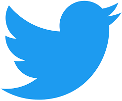 Twitter se umika iz kodeksa boja proti dezinformacijam