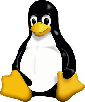 Linuxova jedra LTS odslej podprta le dve leti